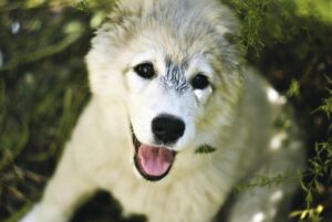忙しいママが脱毛を始めるのはいつからがベスト？