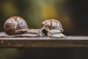 ママがムダ毛をどのくらい放置してOKか知りたい？