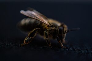 脱毛施術前に必ず確認すべきポイントは？
